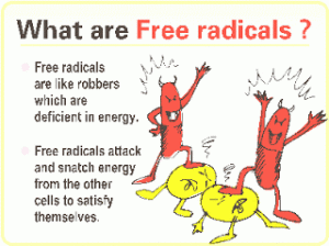 free-radicals