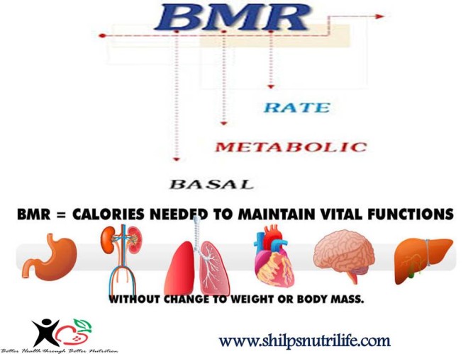 basal-metabolic-rate-shilpsnutrilife