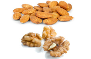 almonds-and-walnuts14-300x197