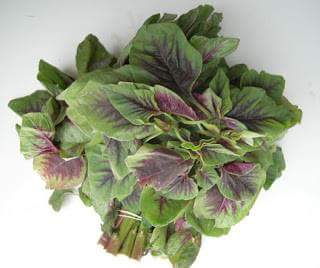 Indian Summer vegetable – Amaranth leaves