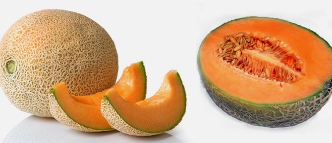 Muskmelon (kharabuja, cantaloupe)