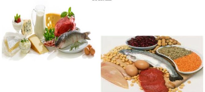 Warming protein foods