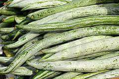 Indian summer vegetable – SNAKE GOURD (CHICHINDA, PADVAL)
