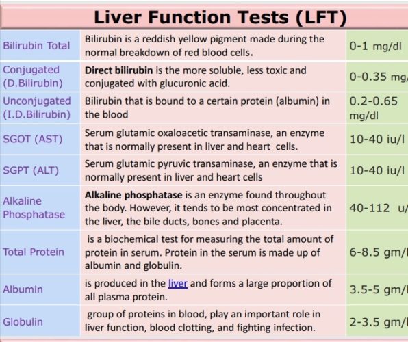 What Tests Are In A Liver Function Panel