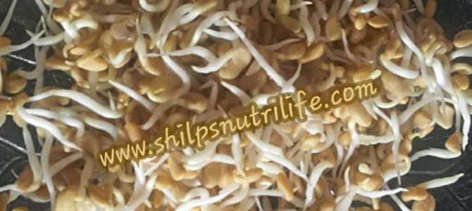 Eat Methi sprouts especially in winters