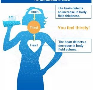 Thirsty? you are already dehydrated