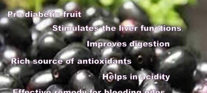 Jamun fruit health benefits