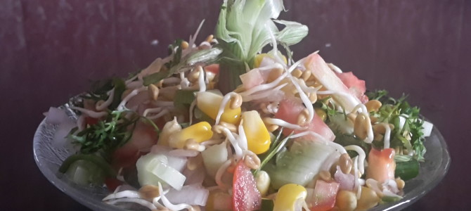 Sprouted methi seeds salad