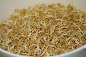 Eat methi seeds sprouts especially in winters