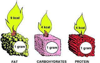 Energy giving nutrients