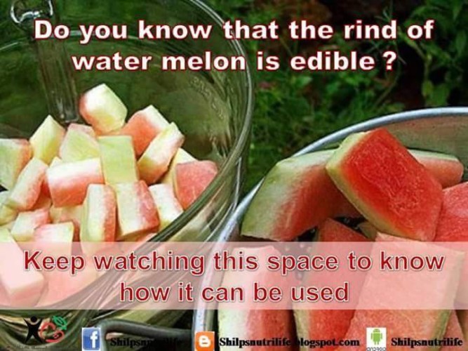 Watermelon white portion benefits - Shilpsnutrilife