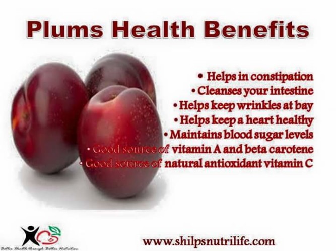 Plums Health Benefits Shilpsnutrilife 2913