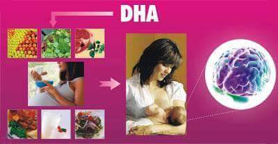 DHA in pregnancy and lactation