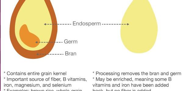 Components of whole grain