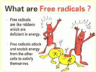 Free radicals- the killing monster