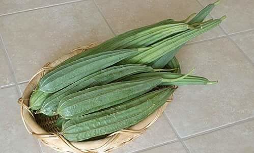 Indian summer vegetable – RIDGED GOURD (TORI, TURAI)