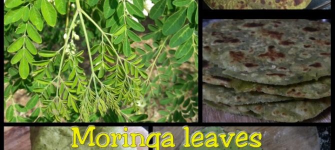 Drumstick (Moringa) leaves Paratha